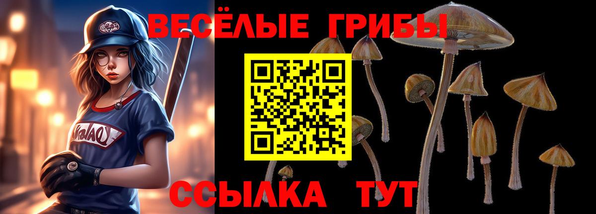 Каспийск  Псилоцибиновые грибы Psilocybine cubensis  Вход с VPN  Галлюциногенные грибы прущие грибы 
